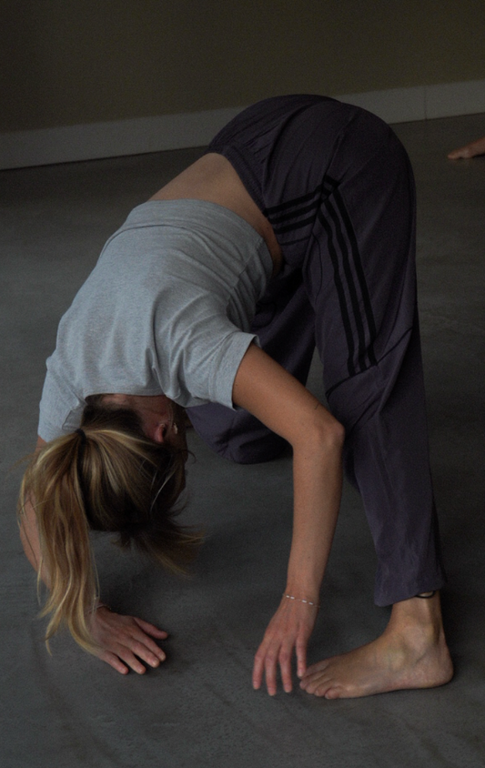 Modern fusion & electro vibes - du 5 au 8 mars (4 jours), Nouvelle Aquitaine