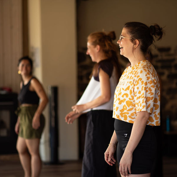 Danse-lady-styling-groupe