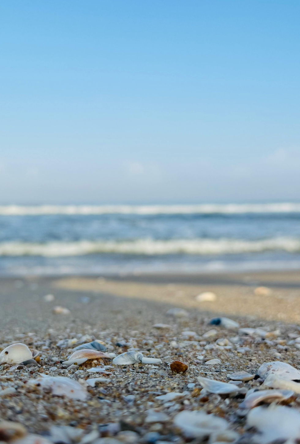 Contemporain (niveau intermédiaire) - Du 4 au 6 septembre 2026 (3 jours), La Rochelle